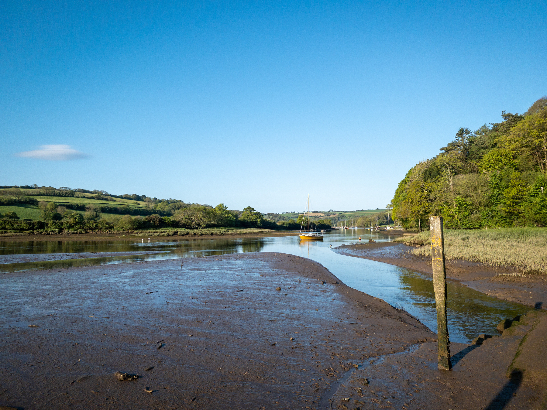 photo of an estuary at low tide with mud banks